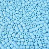 Opaque Baking Paint Glass Seed Beads SEED-T008-02P-3