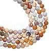 ARRICRAFT Frosted Natural Crazy Lace Agate Round Bead Strands G-AR0003-14-1