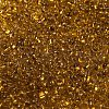Glass Seed Beads SEED-K009-11B-01-3