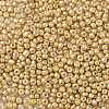 8/0 Glass Seed Beads X1-SEED-A017-3mm-1107-2