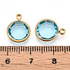K9 Glass Charms X1-GLAA-T023-37A-05-3