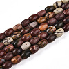 Natural Picasso Jasper/Polychrome Jasper Beads Strands G-N346-02A-05-2