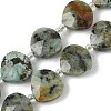 Natural African Turquoise(Jasper) Beads Strands G-D316-A03-2
