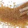 TOHO Round Seed Beads X-SEED-TR15-0103B-1