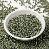 MIYUKI Round Rocailles Beads SEED-X0055-RR2033-1