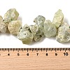 Natural Prehnite Beads Strands G-S386-B03-5