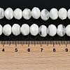 Handmade Lampwork Beads Strands LAMP-T007-13G-4