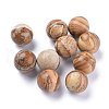 Natural Picture Jasper Beads G-L564-004-D01-1