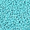 Baking Paint Glass Seed Beads SEED-T006-03H-2