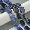 Natural Sodalite Beads Strands G-C098-A08-01-2