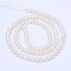 Natural Cultured Freshwater PearlBeads Strands PEAR-R063-05-05-2