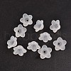 Transparent Acrylic Beads PL560-2