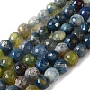 Dyed & Heated Natural Fire Crackle Agate Beads Strands G-P539-B01-02-1