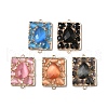 Brass Pave Clear Cubic Zirconia and Cat Eye Rectangle Connector Charms KK-I276-34G-1