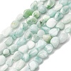 Natural Glass Beads Strands G-K395-A02-02-2