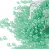TOHO Round Seed Beads X-SEED-TR08-0156-1