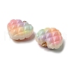 Rainbow Color Opaque Resin Pendants RESI-F035-01-5