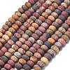 Natural Red Picasso Jasper/Polychrome Jasper Beads Strands G-P575-A16-8x5mm-2