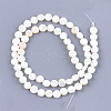 Freshwater Shell Beads Strands X-SHEL-S276-15B-2