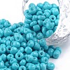 Baking Paint Glass Seed Beads SEED-US0003-4mm-K10-1