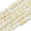 Dyed Natural Freshwater Shell Beads Strands X1-BSHE-G039-07N-1