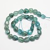 Natural Apatite Bead Strands X-G-L459-13-2