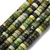 Natural Serpentine Beads Strands G-L624-I16-3x6mm-2