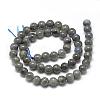 Natural Labradorite Beads Strands G-R446-10mm-14-2