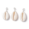 Natural Mixed Cowrie Shell Pendants PALLOY-JF03710-03-1