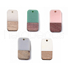 Resin & Walnut Wood Pendants RESI-S358-11-M-1