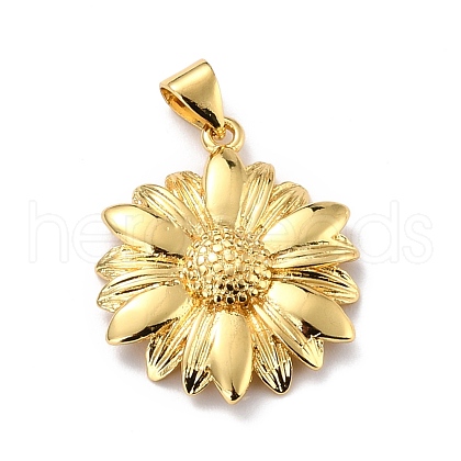 Eco-Friendly Brass Pendants KK-D066-31G-RS-1