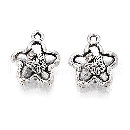 Tibetan Style Alloy Charms TIBE-N013-24AS-1
