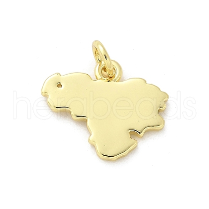 Brass Pendants KK-S511-25G-1
