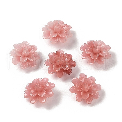 Synthetic Shell Dyed Beads SHEL-C006-01B-1