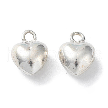 925 Sterling Silver Charms STER-H106-01C-S-1