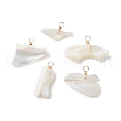 Natural Trochid Shell Pendants PALLOY-JF02809-02-1