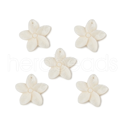 Freshwater Shell Pendants SHEL-T009-23-1