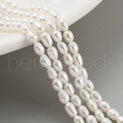Natural Cultured Freshwater Pearl Beads Strands PEAR-P062-01H-1