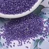 MIYUKI Delica Beads X-SEED-J020-DB0906-1