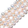 Natural Cultured Freshwater Pearl Beads Strands PEAR-N014-06F-01-2