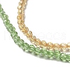 Transparent Gradient Color Glass Beads Strands GLAA-H021-01A-15-3