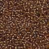 TOHO Round Seed Beads X-SEED-TR11-0278-2