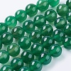 Natural Agate Beads Strands X-G-G583-10mm-11-1