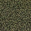 MIYUKI Round Rocailles Beads SEED-X0054-RR0307-3