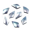 Natural Turbo Cornulus/Top Shells Cabochons SSHEL-N003-154-2