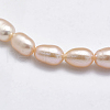 Natural Cultured Freshwater Pearl Beads Strands PEAR-F007-76A-01-3