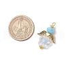 Acrylic Beads with Glass Beads Pendants PALLOY-MZ00699-2