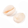 Cowrie Shell Pendants X-PTS057Y-2