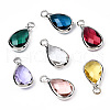 K9 Glass Charms GLAA-N038-26-4