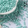 Baking Paint Glass Seed Beads X-SEED-S042-15A-09-1